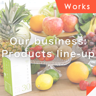 Our business: Products line-up